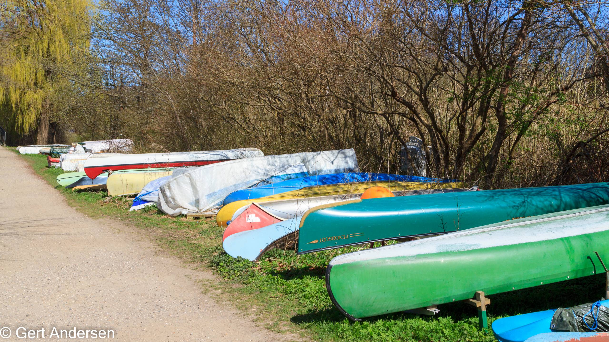 Lyngby Sø (4 of 37) compressed